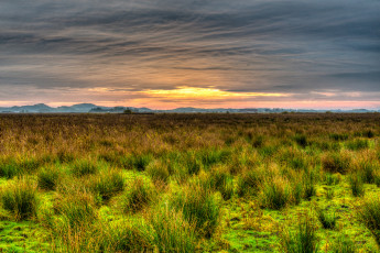 Картинка природа пейзажи поле тучи горы трава