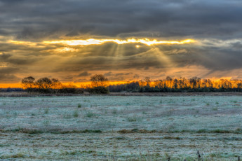 Картинка природа поля трава поле свет тучи иней