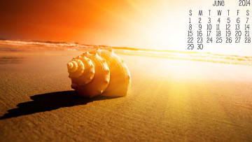 обоя календари, -другое, ракушка