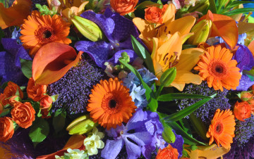 Картинка цветы букеты +композиции гиацинт кала роза орхидея гербера