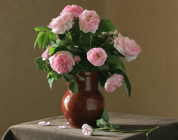 Обои картинки фото цветы, розы, букет