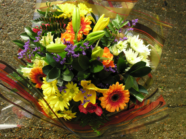 Обои картинки фото цветы, букеты,  композиции, букет, хризантемы, лилии, герберы, розы