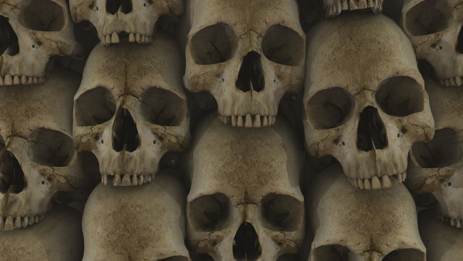 Обои картинки фото разное, кости,  рентген, черепа