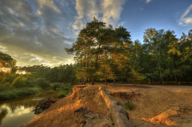 Обои картинки фото природа, реки, озера, лес, река, обрыв