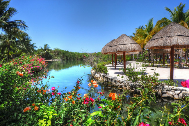 Обои картинки фото природа, тропики, зонтики, цветы, вода