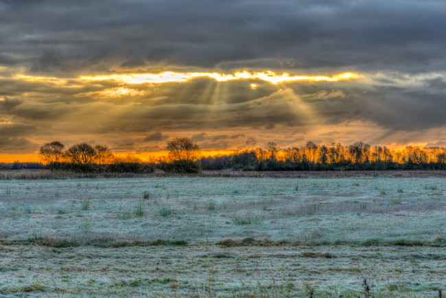 Обои картинки фото природа, поля, трава, поле, свет, тучи, иней