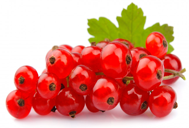 Обои картинки фото еда, смородина, красная