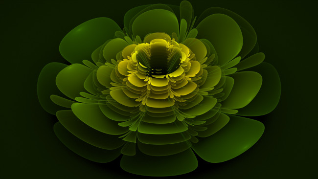 Обои картинки фото 3д графика, цветы , flowers, цвета, фон, узор