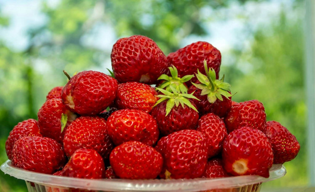 Обои картинки фото еда, клубника,  земляника, ягоды, много