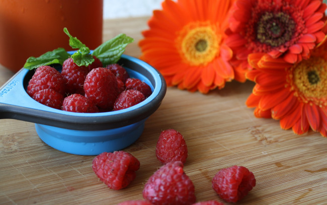 Обои картинки фото еда, малина, герберы, мята, ягоды