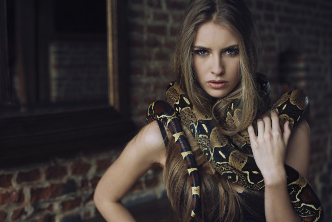 Обои картинки фото девушки, -unsort , брюнетки,  шатенки, лицо, взгляд