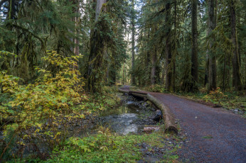 Картинка природа дороги тракт