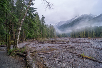 Картинка природа пейзажи простор