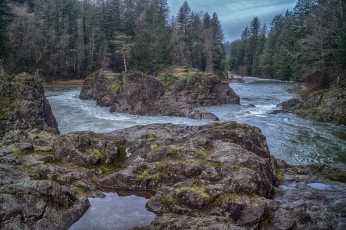 Картинка природа реки озера лес река