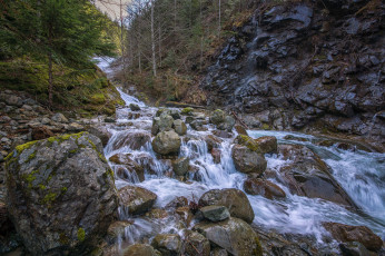 Картинка природа реки озера река лес