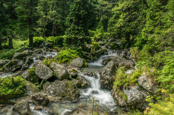 Картинка природа реки озера река лес