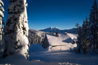 Картинка природа зима снег