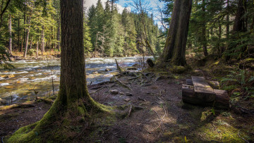 Картинка природа реки озера река лес