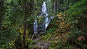 Картинка природа водопады водопад река лес
