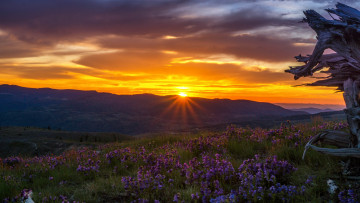 Картинка природа восходы закаты простор