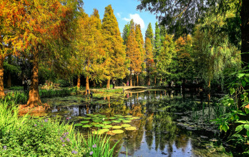 Картинка природа реки озера река лес