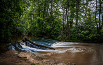 Картинка природа реки озера река лес