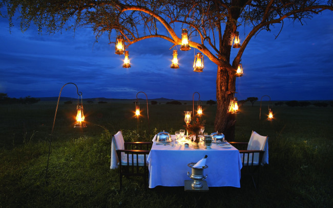 Обои картинки фото интерьер, декор,  отделка,  сервировка, дерево, лужайка, фонари, сервировка, накрытый, стол