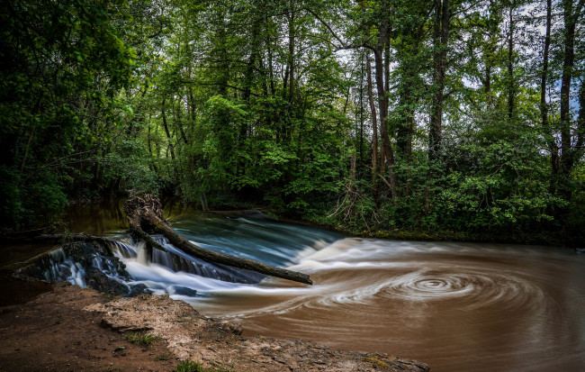 Обои картинки фото природа, реки, озера, река, лес