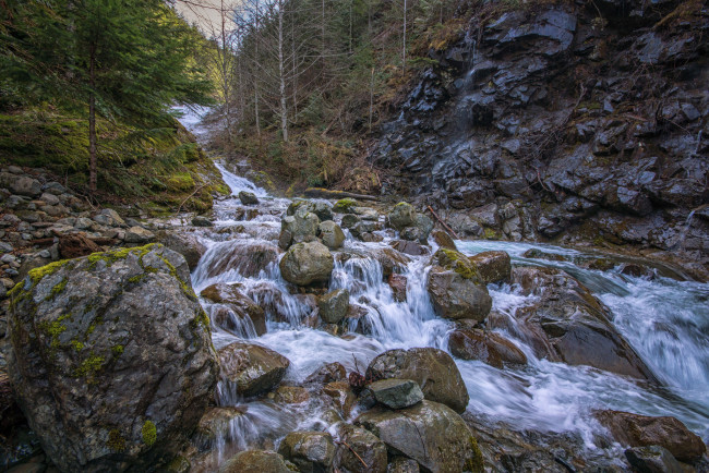 Обои картинки фото природа, реки, озера, река, лес