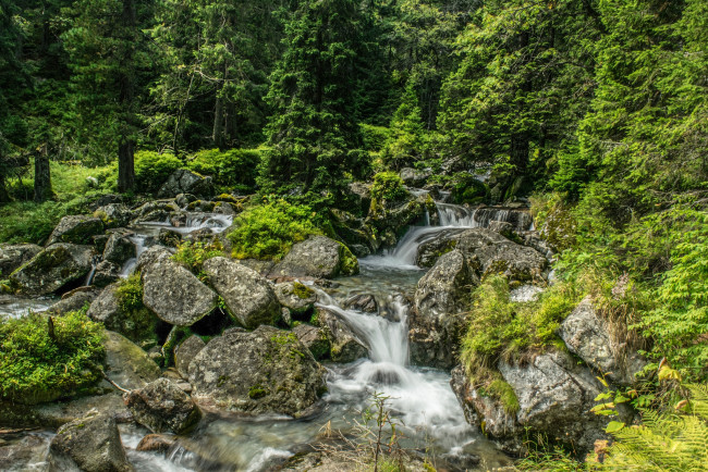 Обои картинки фото природа, реки, озера, река, лес