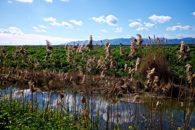 Обои картинки фото природа, реки, озера, река, лес