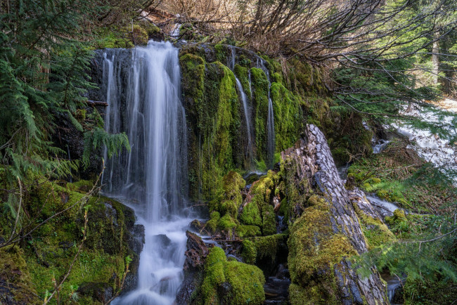 Обои картинки фото природа, водопады, река, лес, водопад