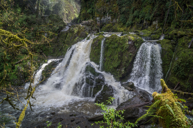 Обои картинки фото природа, водопады, водопад, река, лес