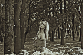 Картинка календари компьютерный+дизайн дерево девушка растение природа лес