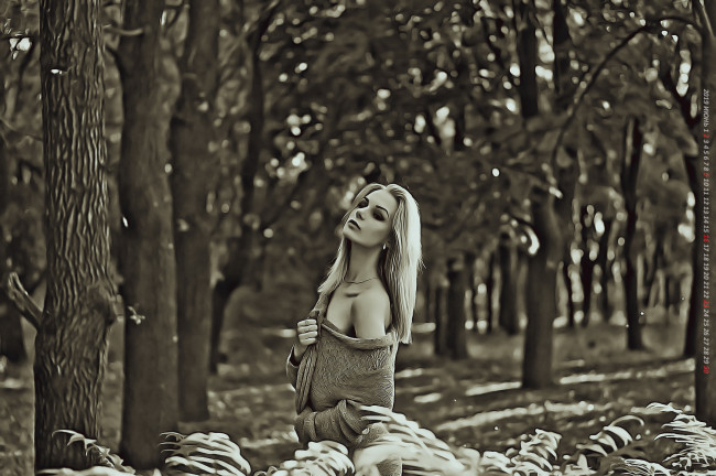 Обои картинки фото календари, компьютерный дизайн, дерево, девушка, растение, природа, лес