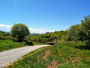 Картинка природа дороги дорога проселочная