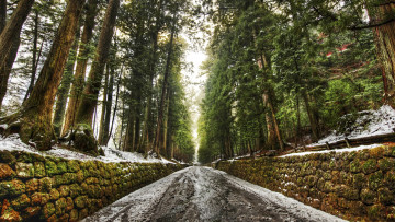 Картинка природа дороги япония