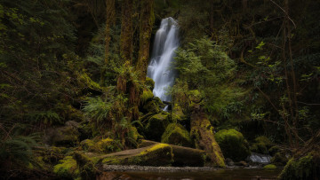 Картинка природа водопады поток водопад вода
