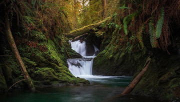 Картинка природа водопады поток водопад вода