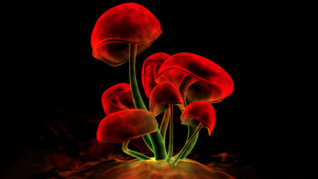 Картинка 3д+графика природа+ nature грибы