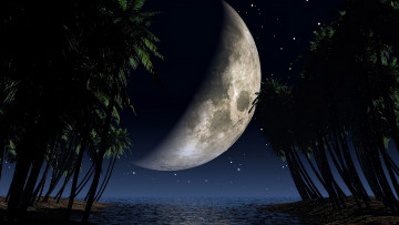 Картинка 3д+графика природа+ nature пальмы