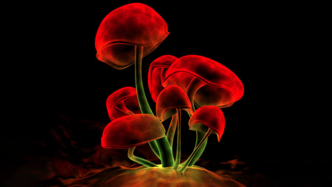 Обои картинки фото 3д графика, природа , nature, грибы