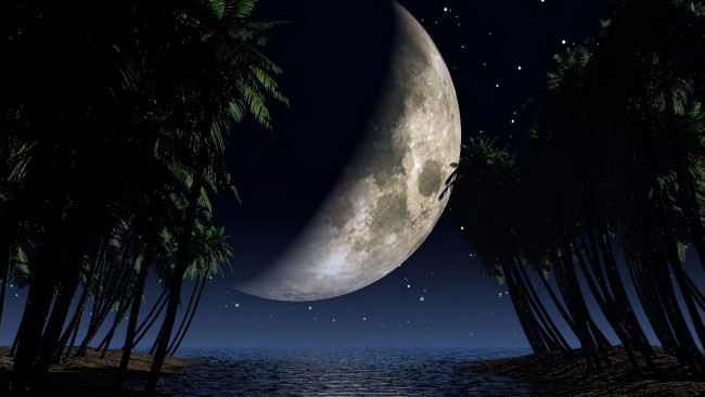 Обои картинки фото 3д графика, природа , nature, пальмы