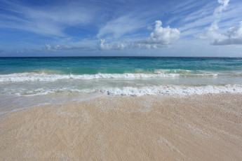 Картинка природа побережье пляж