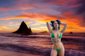 Картинка девушки -+брюнетки +шатенки море закат брюнетка бикини тату