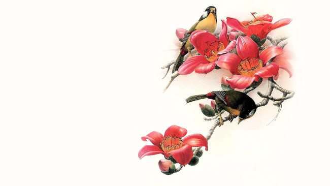 Обои картинки фото рисованное, животные,  птицы, птицы, ветка, дерево, цветы
