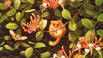 обоя 295784, рисованное, животные,  лемуры, лемур