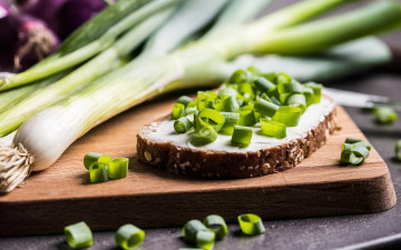 обоя еда, бутерброды,  гамбургеры,  канапе, зеленый, лук, бутерброд, хлеб