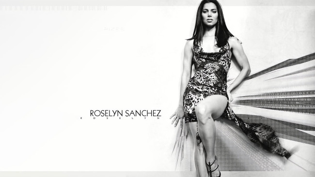Обои картинки фото девушки, roselyn sanchez, roselyn, sanchez
