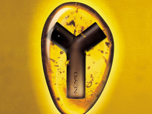 обоя cacharelnemo, бренды